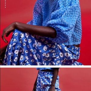 Zara skirt same as original post